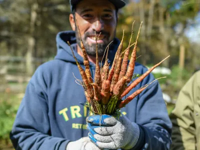 Retreat Center Caretaker Ashraf Aljasem harvests carrots