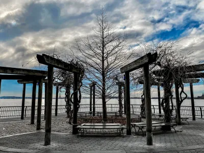 A bare tree in the middle of a park. 