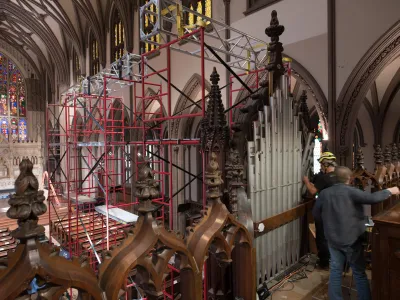 Organ dismantle during Rejuvenation