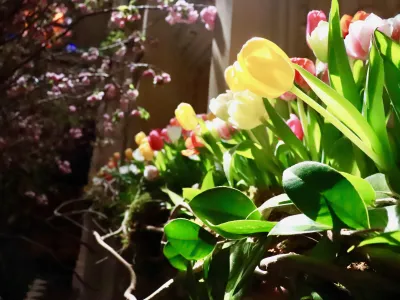 Flowers on Altar on Easter Day April 4, 2021