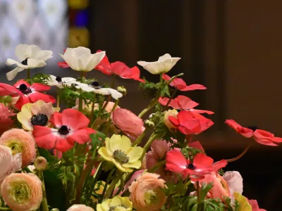 Easter flowers in Trinity Church — bright and soft pink, yellow, and white flowers with a stained glass window in the background