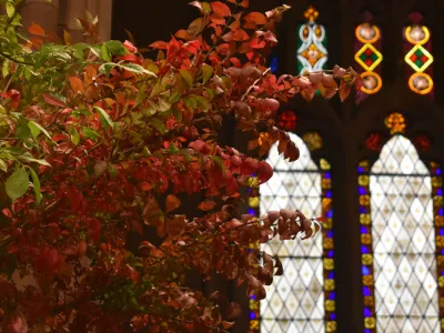 An arrangement of green and red fall leaves over a backdrop of stained glass in Trinity Church