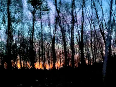 A colorful sunset with pinks, oranges, blues, and violets behind a forest of trees