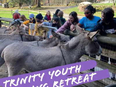 Youth petting donkeys