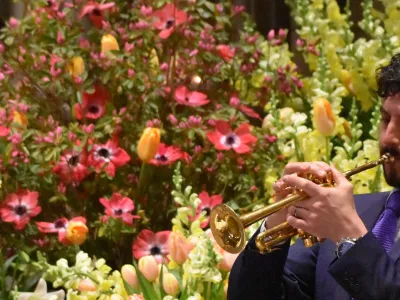 Man plays piccolo trumpet in front of a burst of spring flowers