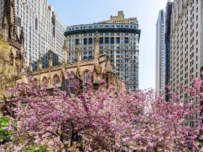 Trinity Churchyard with cherry blossoms