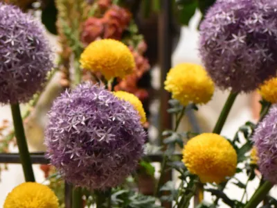 An arrangement of round purple and yellow flowers in Trinity Church