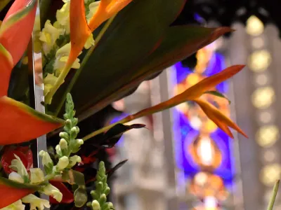 Bright orange flowers in front of glowing stained-glass windows in Trinity Church