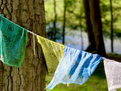 Green, yellow, blue, and white prayer flags float on the breeze against a background of tall trees and warm sunlight