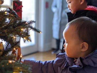 Children look at Christmas tree lights