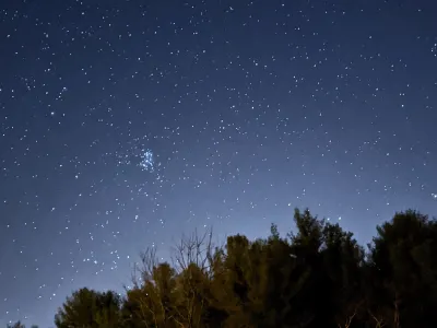 A star-filled night sky behind a silhouette of trees