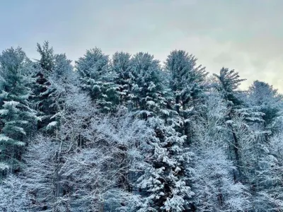 Snow-covered trees at Trinity Retreat Center