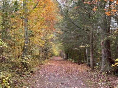 Fall Trail 