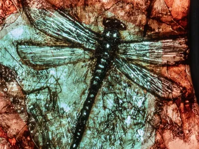 Turquoise dragonflies against a red backdrop, depicted in stained glass