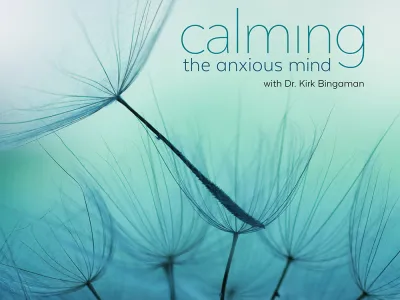 Dandelion seeds float on a blue background.