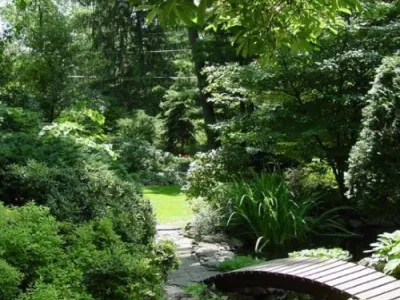 A footbridge over a stream