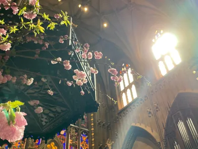 Pink Easter flowers below the pulpit at Trinity Church with sun beaming in from the windows above, creating a faint rainbow.