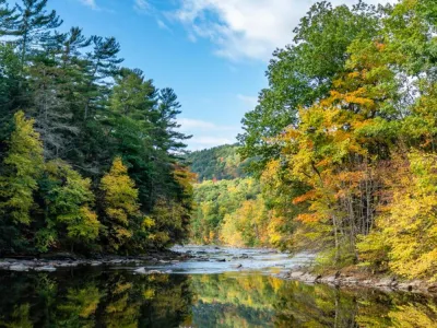 River with trees