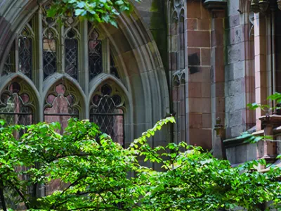 Arched stained-glass window with leafy tree branches
