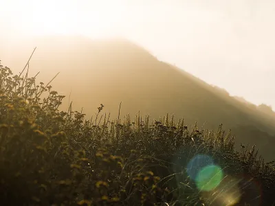 The sun rises behind a mountain with wildflowers in the foreground. Camera flares appear in the lower right.