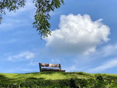 A wooden bench sit atop a grassy sun-drenched hill against a blue-sky backdrop with a fluffy white cloud