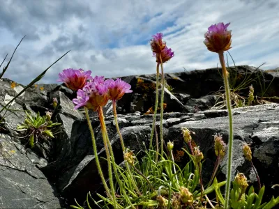 Celtic Spirituality Retreat