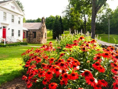 A white house with red flowers in the front