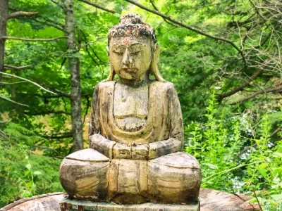 Bhudda in the woods