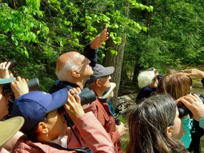 People observe birds