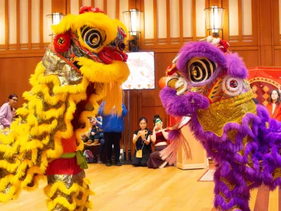 Lion dance