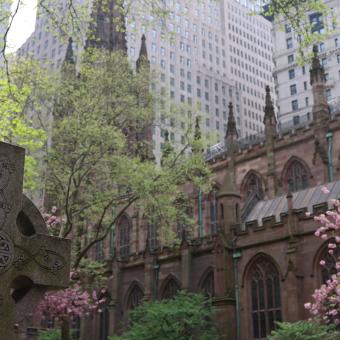 Trinity Churchyard in spring