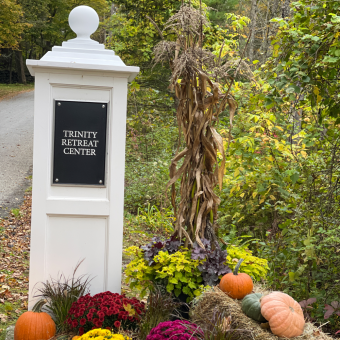 Pumpkins by the road 