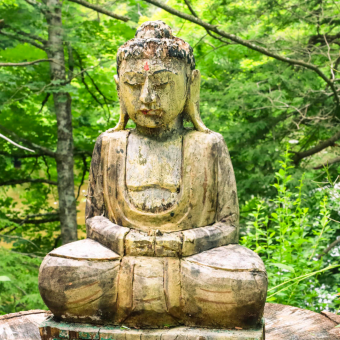 Bhudda in the woods