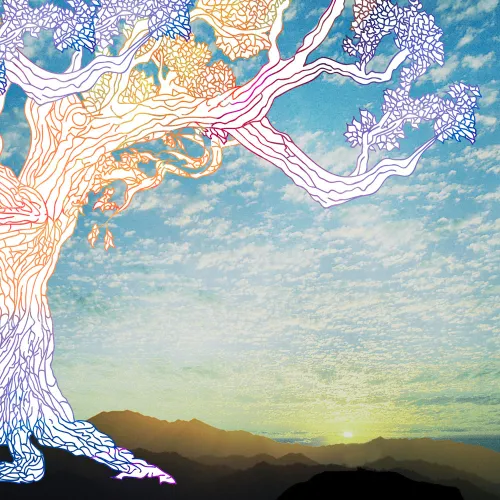 Colorful illustration of a Tree of Life imposed on a backdrop showing the sun rising into a blue sky behind a mountain range