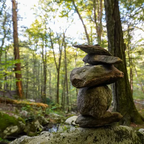 A stack of rocks alongside a stream in Trinity Forest