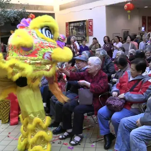 Lion Dance