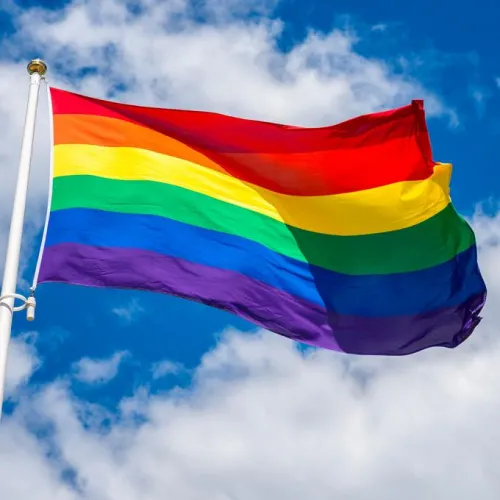 Rainbow pride flag