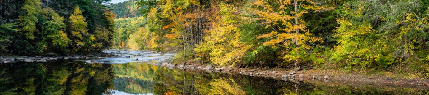 View of the Housatonic River